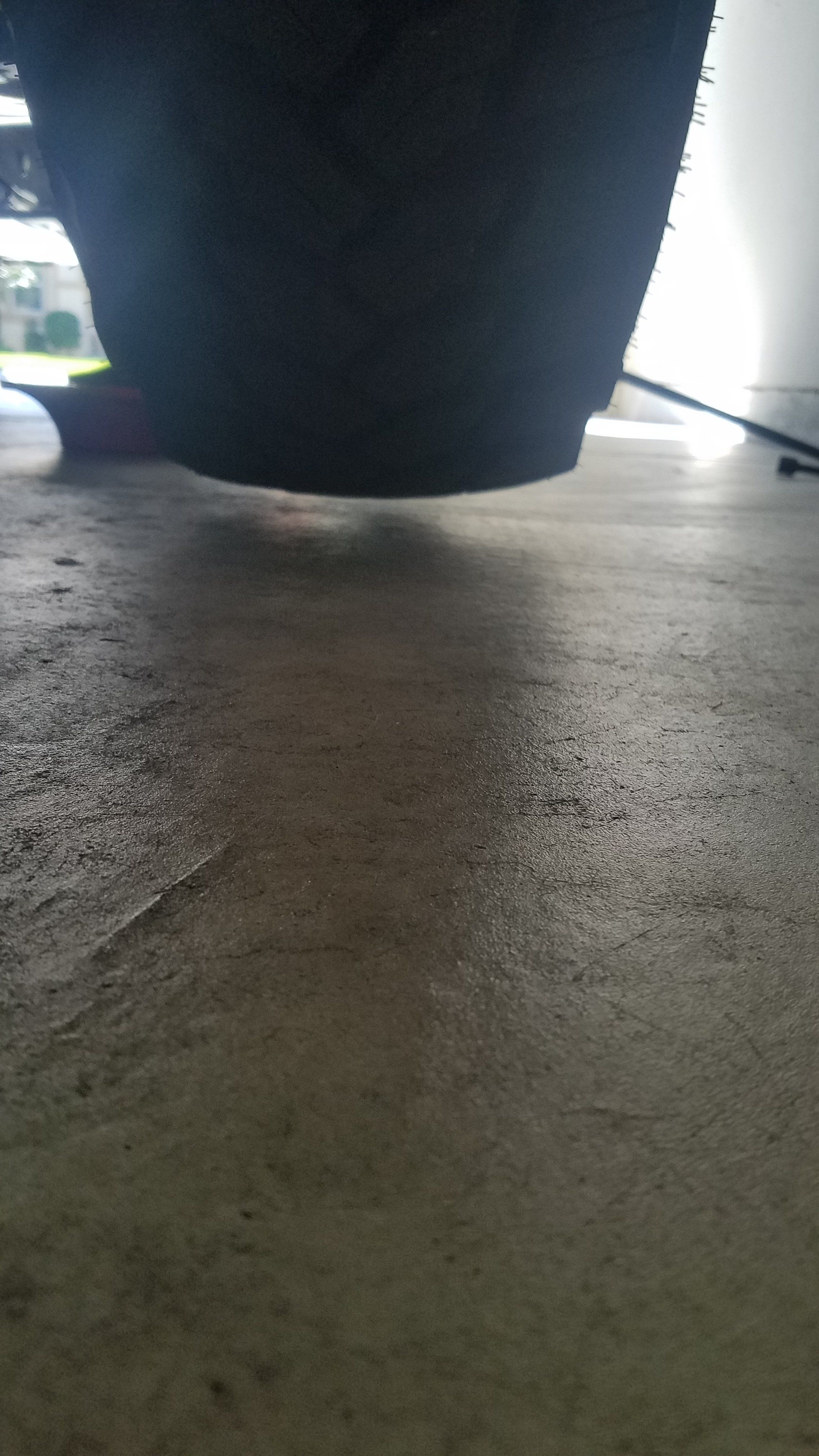 20220206_104606.jpg